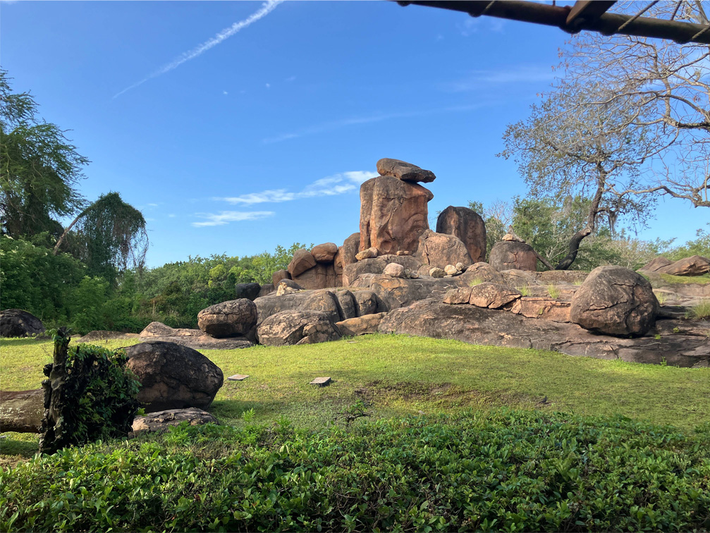 Disney animal kingdom landscape