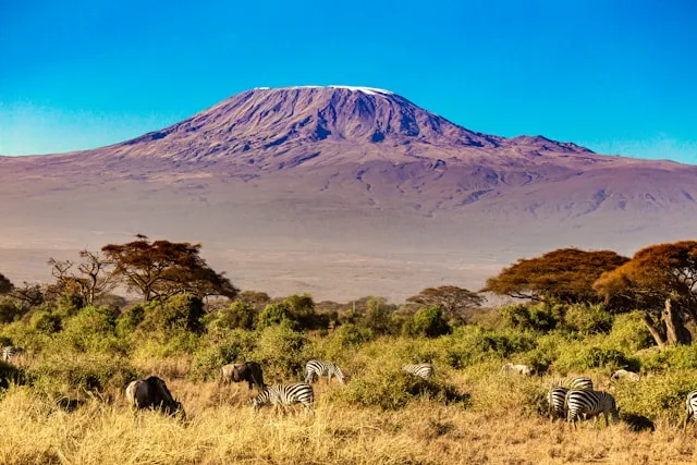 View of Mount Kilimonjaro