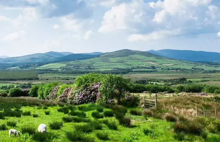 ireland lush landscape