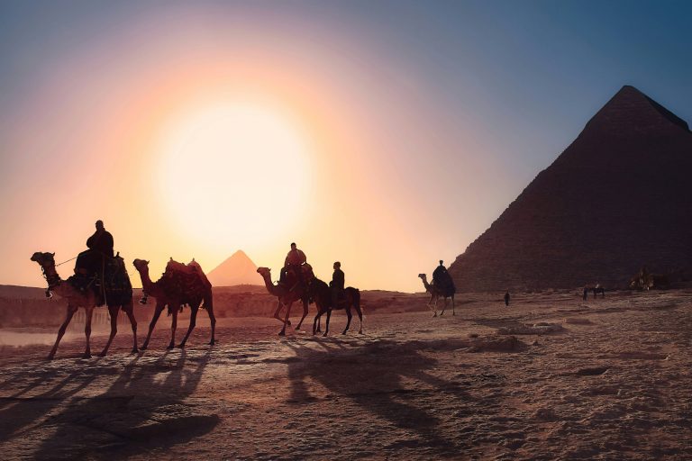 Camels walking in front of pyramid at sunset