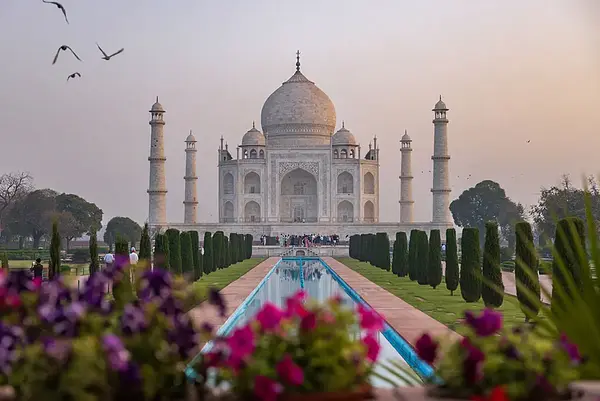 Taj Mahal with flowers in front