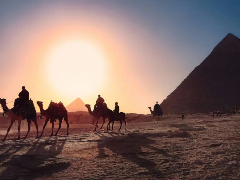Camels walking in front of the Giza pyramids at sunset